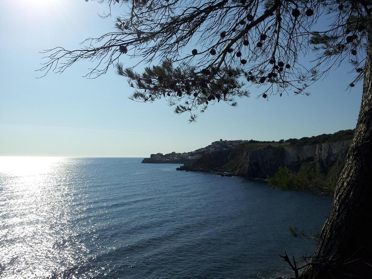 Вілла Montgo Park 06 Л'Аскала Екстер'єр фото